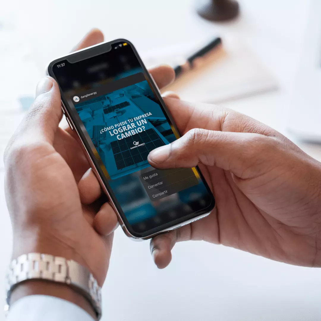 Proyecto Dangil - Caso de éxito branding