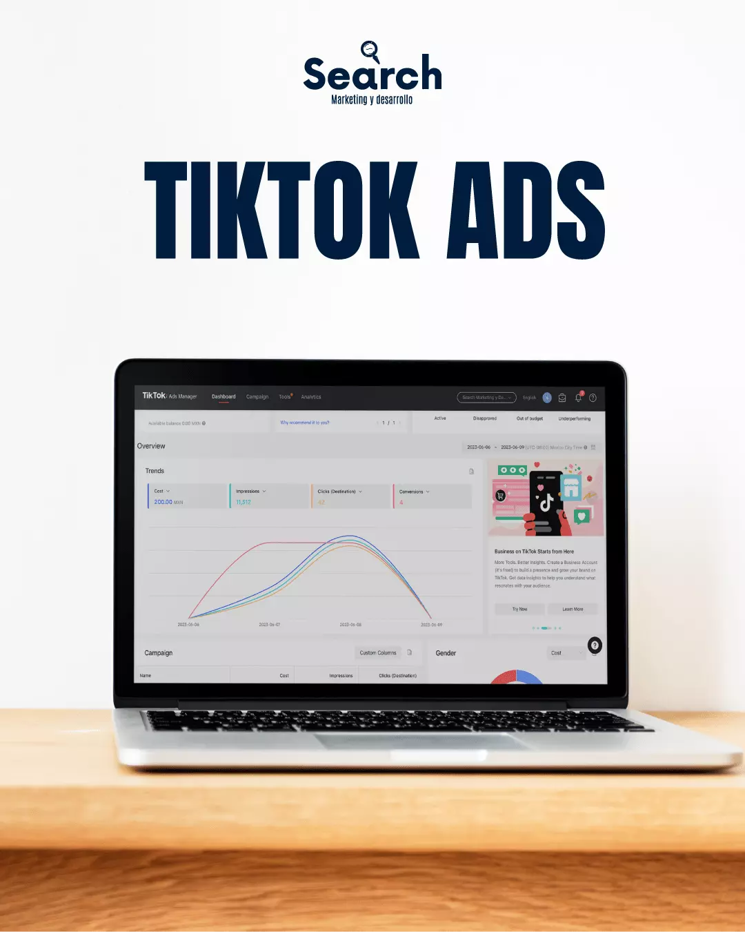 Servicio de Anuncios 8